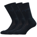 Avignon Terry Wool Sock 3-Pack Black